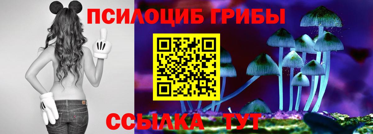 Галлюциногенные грибы мицелий Кудымкар