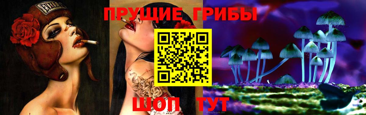 Псилоцибиновые грибы мицелий  Вход с VPN  Кудымкар 